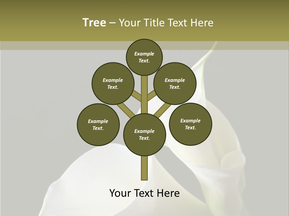 Calla Lillies PowerPoint Template