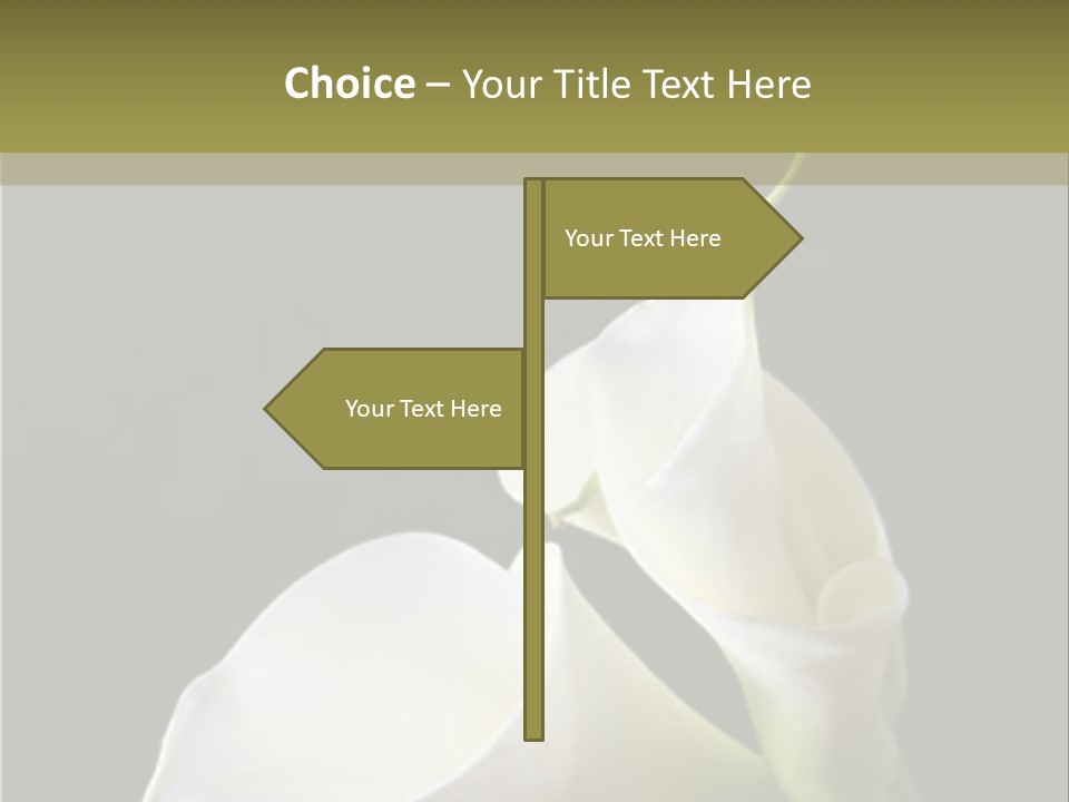 Calla Lillies PowerPoint Template