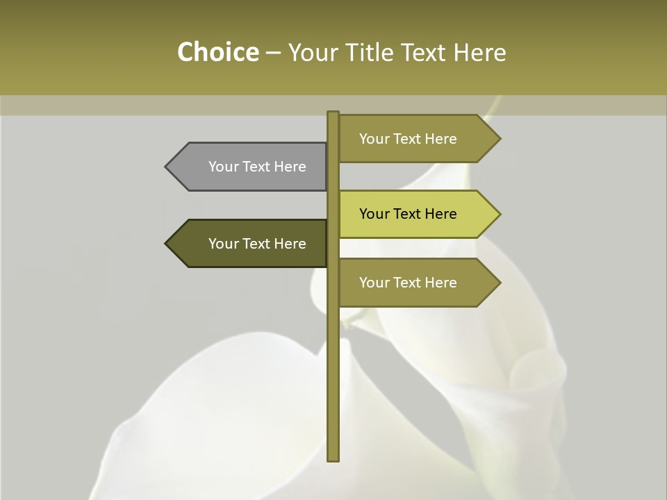 Calla Lillies PowerPoint Template