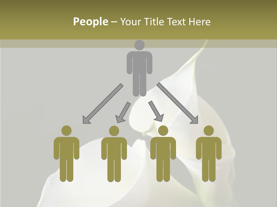 Calla Lillies PowerPoint Template