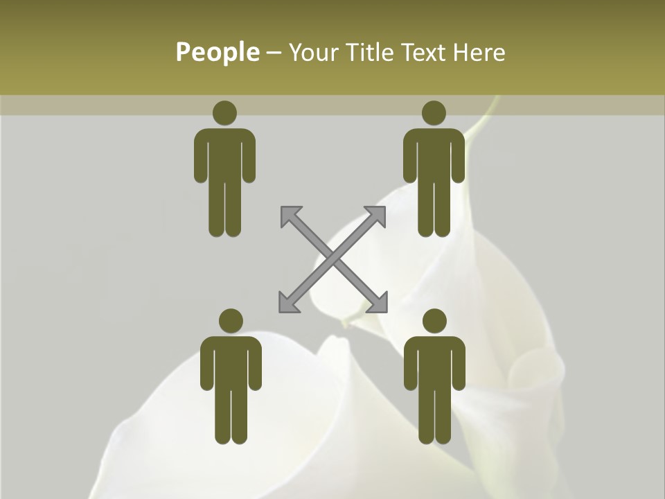 Calla Lillies PowerPoint Template