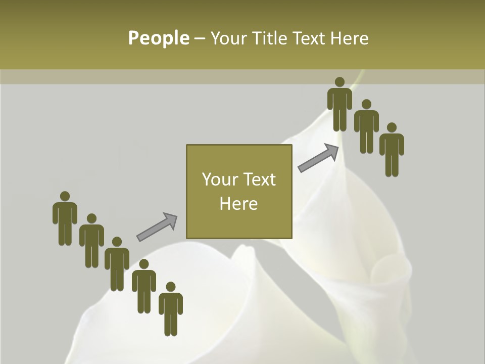 Calla Lillies PowerPoint Template