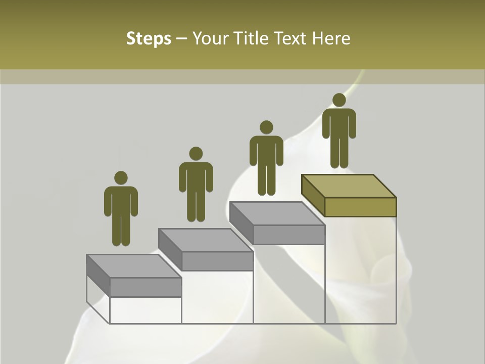 Calla Lillies PowerPoint Template