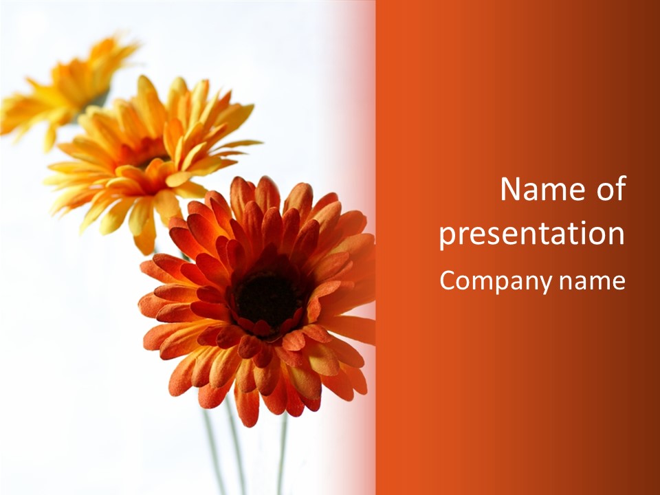Two Orange And Yellow Flowers Are In A Vase PowerPoint Template