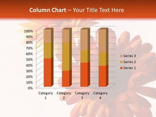 Two Orange And Yellow Flowers Are In A Vase PowerPoint Template