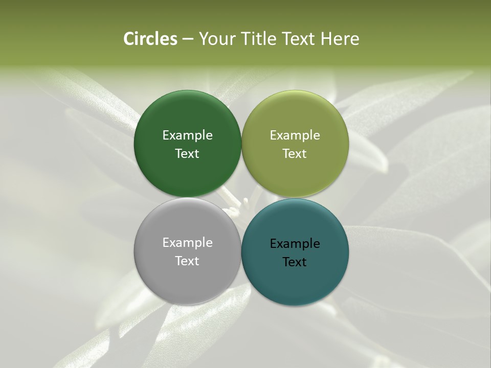 A Close Up Of A Plant With Green Leaves PowerPoint Template