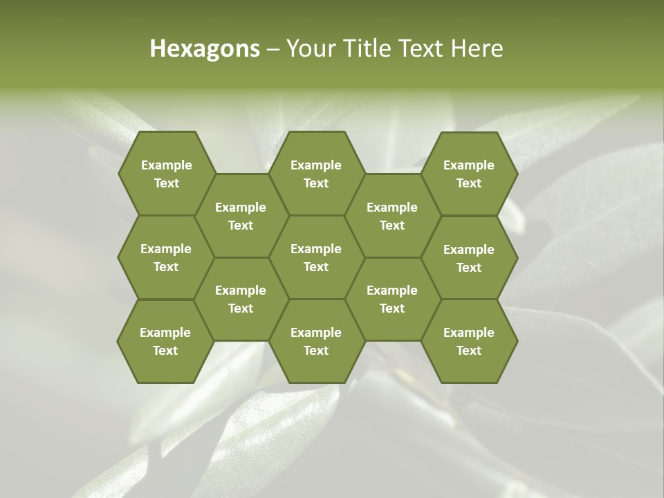 A Close Up Of A Plant With Green Leaves PowerPoint Template