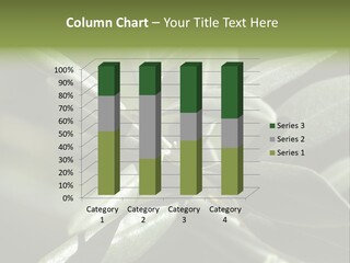 A Close Up Of A Plant With Green Leaves PowerPoint Template