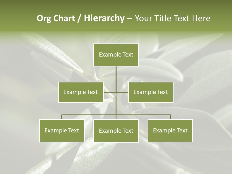 A Close Up Of A Plant With Green Leaves PowerPoint Template