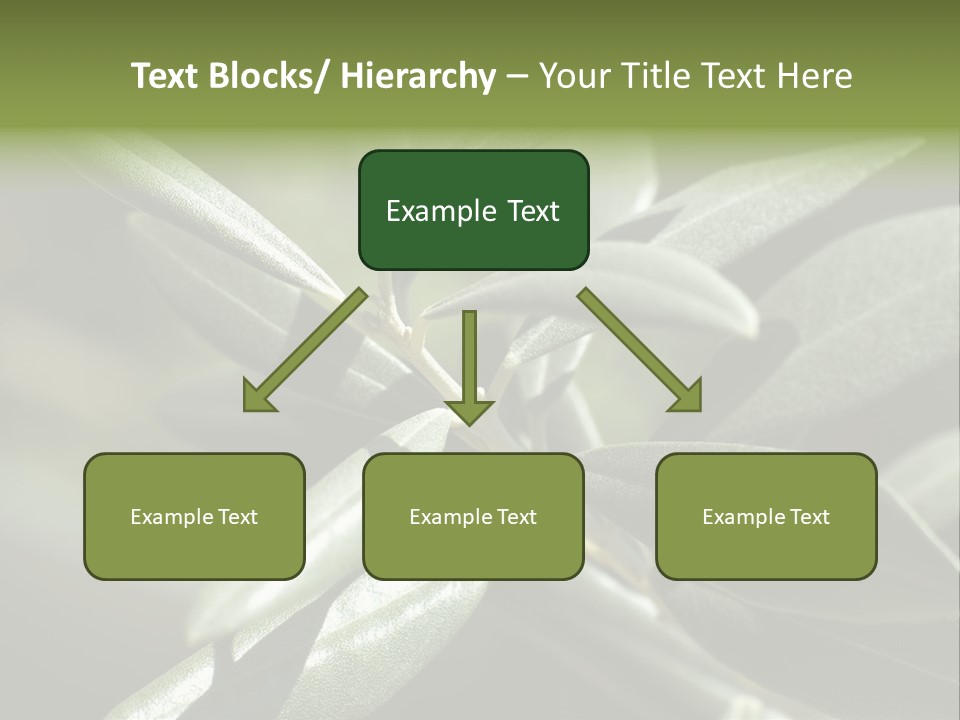 A Close Up Of A Plant With Green Leaves PowerPoint Template
