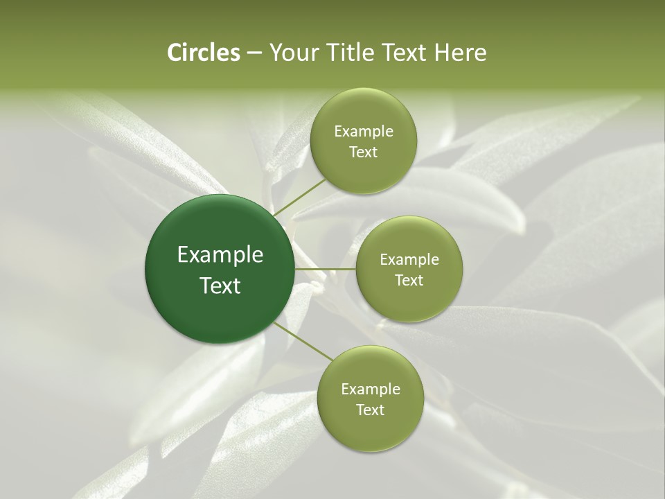 A Close Up Of A Plant With Green Leaves PowerPoint Template