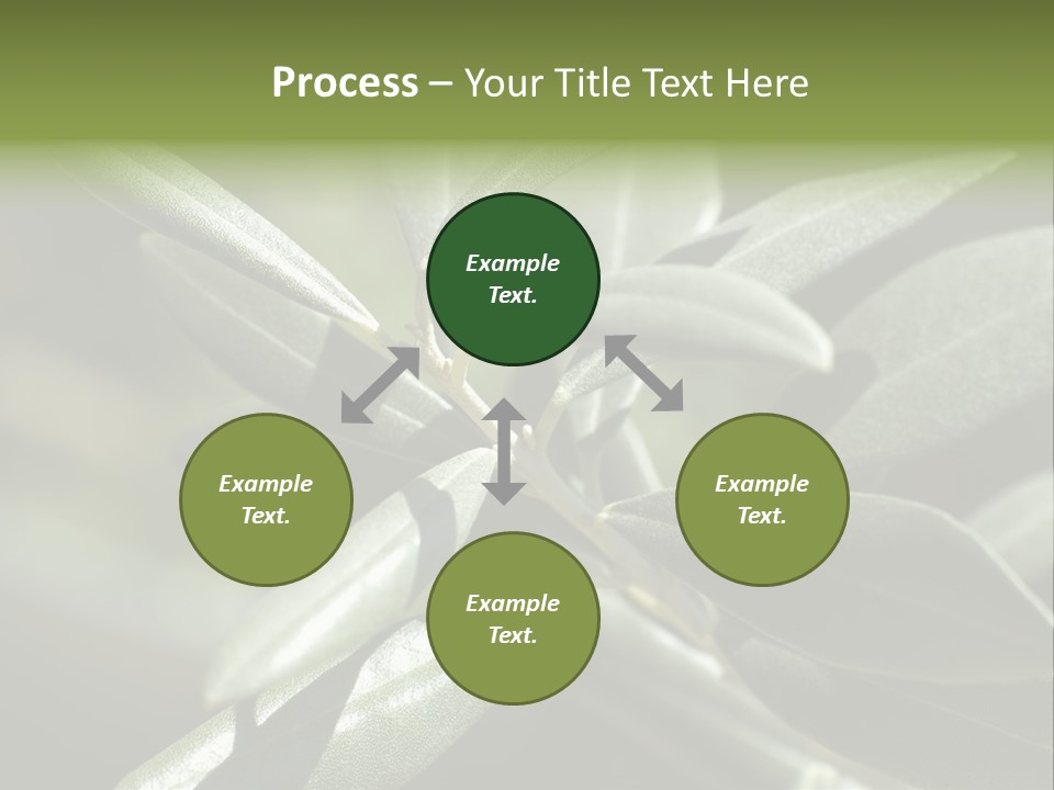 A Close Up Of A Plant With Green Leaves PowerPoint Template