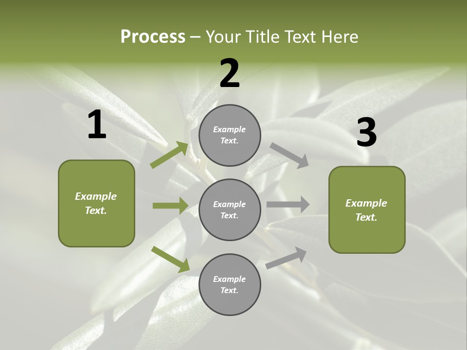 A Close Up Of A Plant With Green Leaves PowerPoint Template