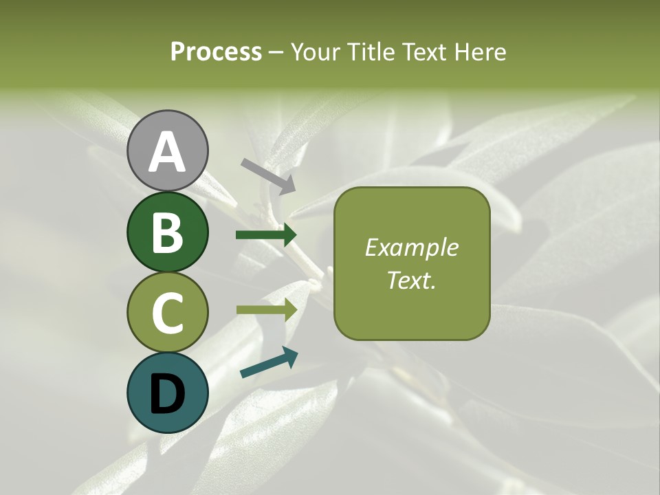 A Close Up Of A Plant With Green Leaves PowerPoint Template