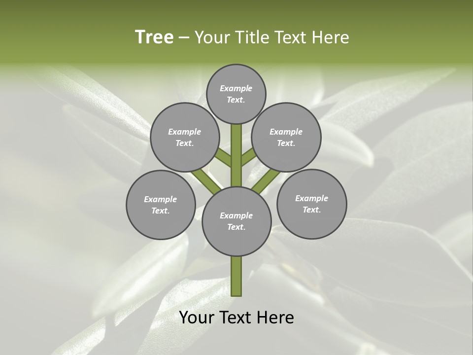 A Close Up Of A Plant With Green Leaves PowerPoint Template