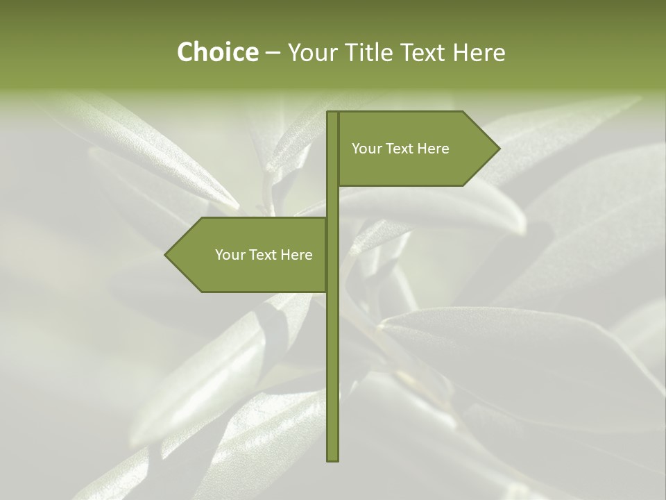 A Close Up Of A Plant With Green Leaves PowerPoint Template