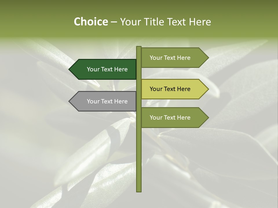 A Close Up Of A Plant With Green Leaves PowerPoint Template