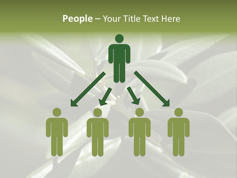 A Close Up Of A Plant With Green Leaves PowerPoint Template