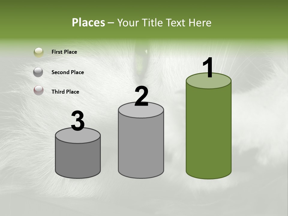 Charm PowerPoint Template