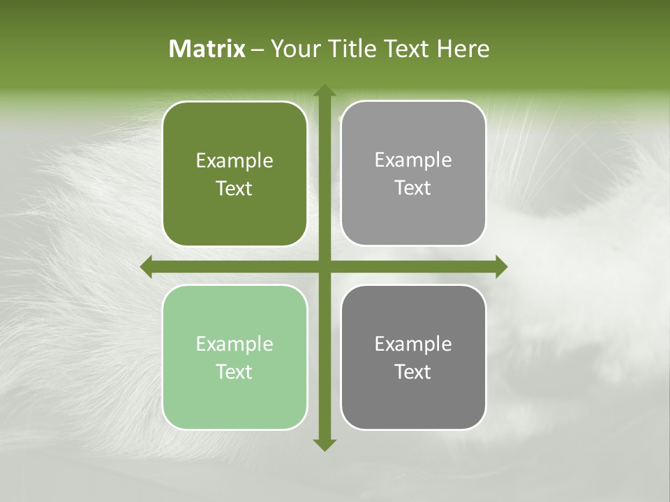 Charm PowerPoint Template