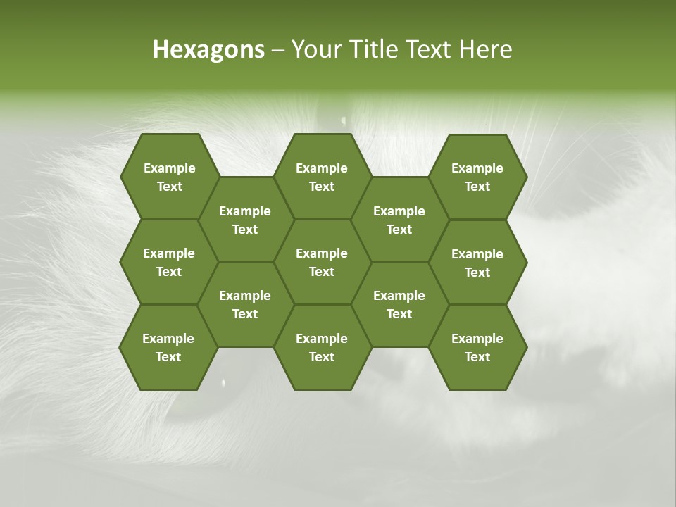 Charm PowerPoint Template