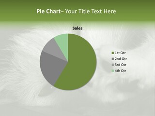 Charm PowerPoint Template