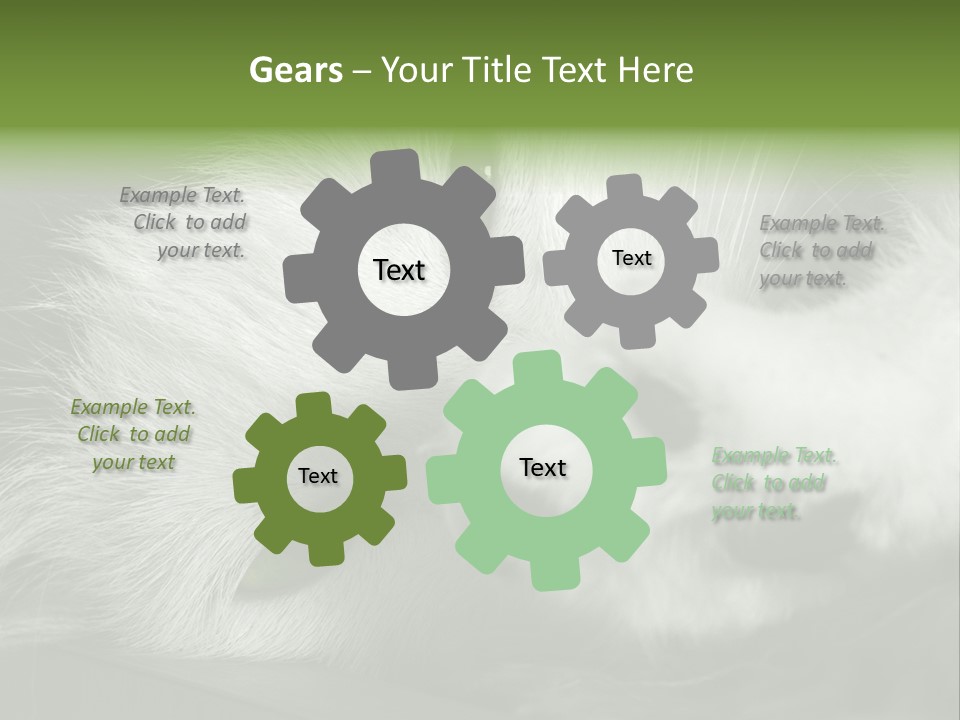 Charm PowerPoint Template