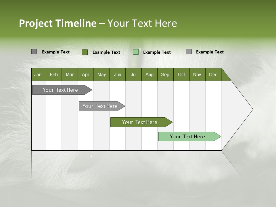 Charm PowerPoint Template