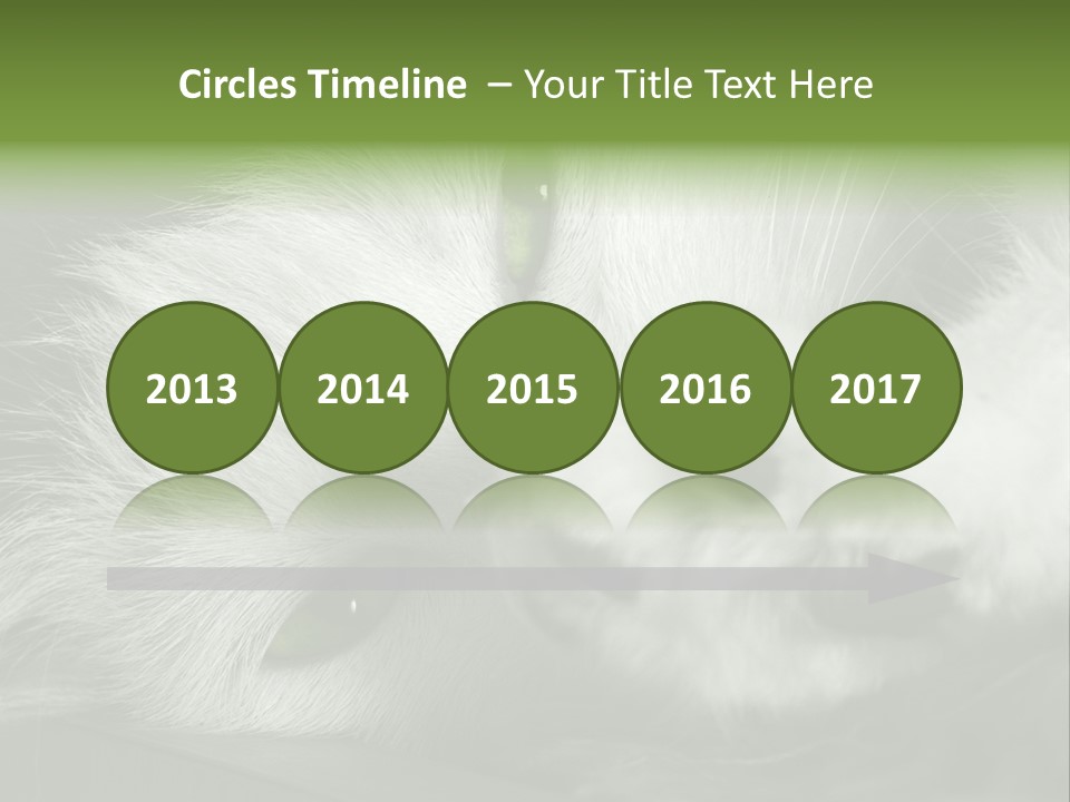 Charm PowerPoint Template