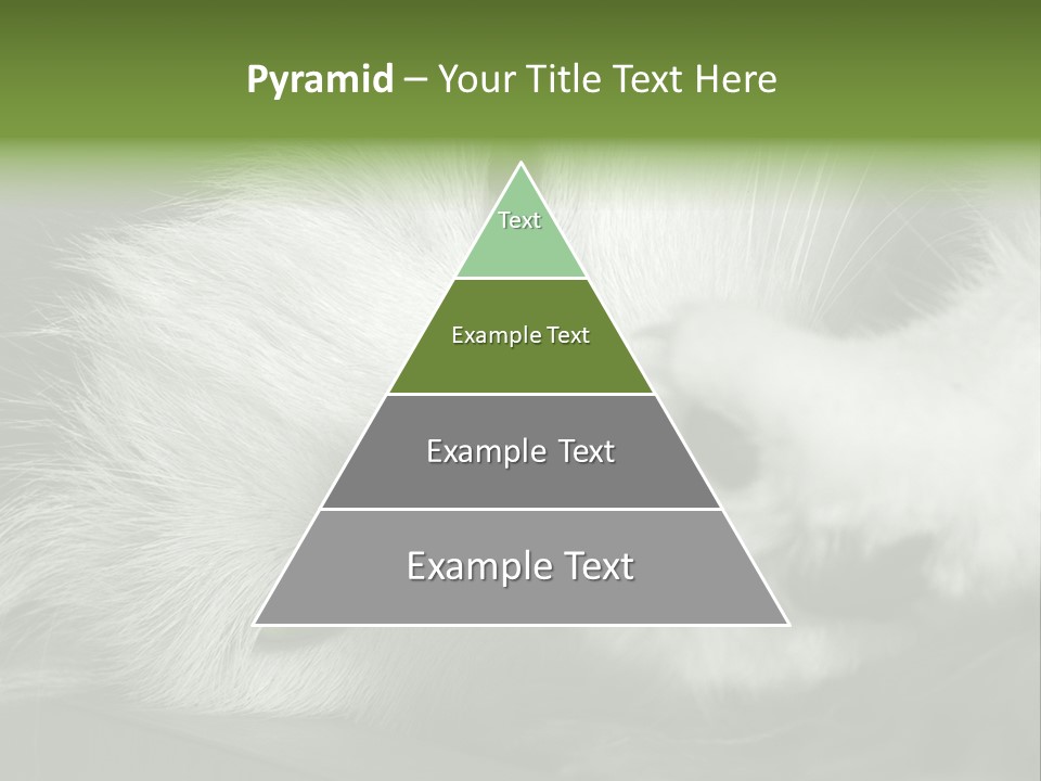 Charm PowerPoint Template