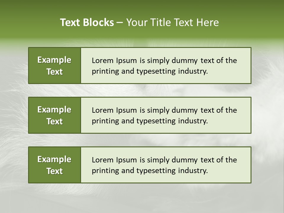 Charm PowerPoint Template