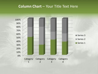 Charm PowerPoint Template