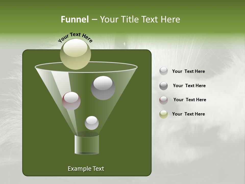 Charm PowerPoint Template
