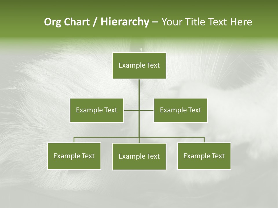 Charm PowerPoint Template