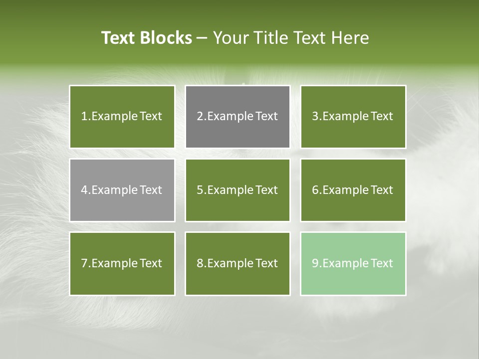 Charm PowerPoint Template