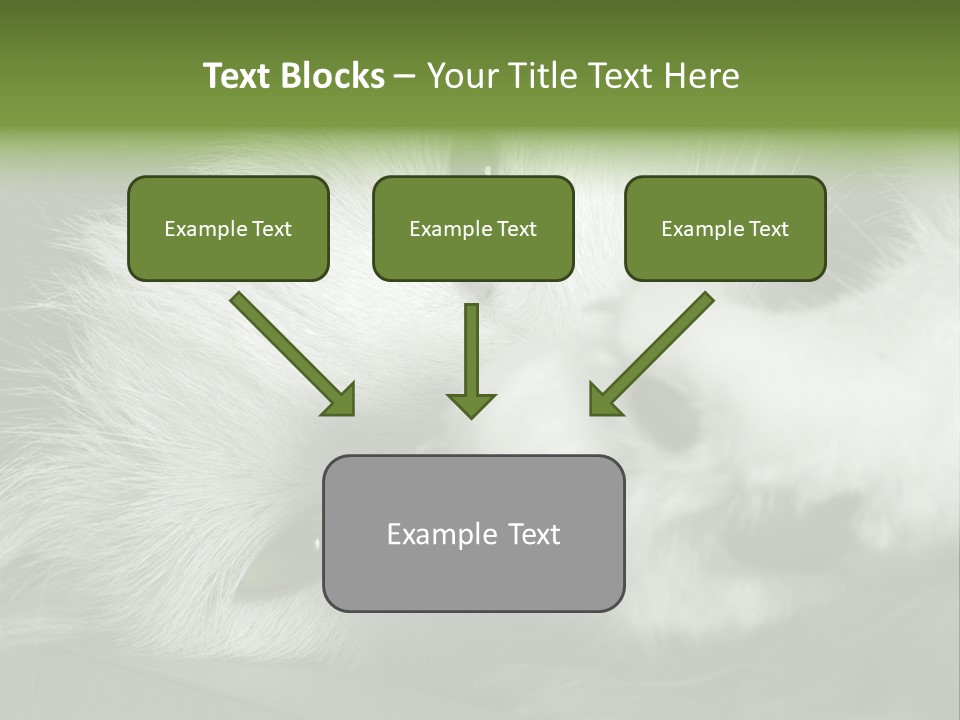 Charm PowerPoint Template