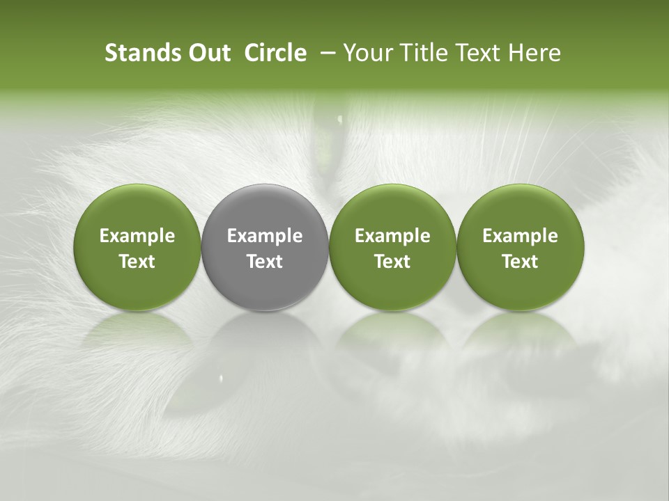 Charm PowerPoint Template