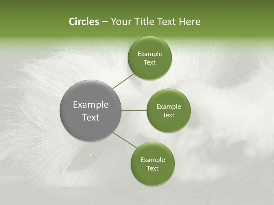 Charm PowerPoint Template