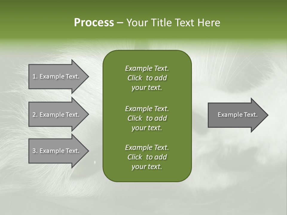 Charm PowerPoint Template