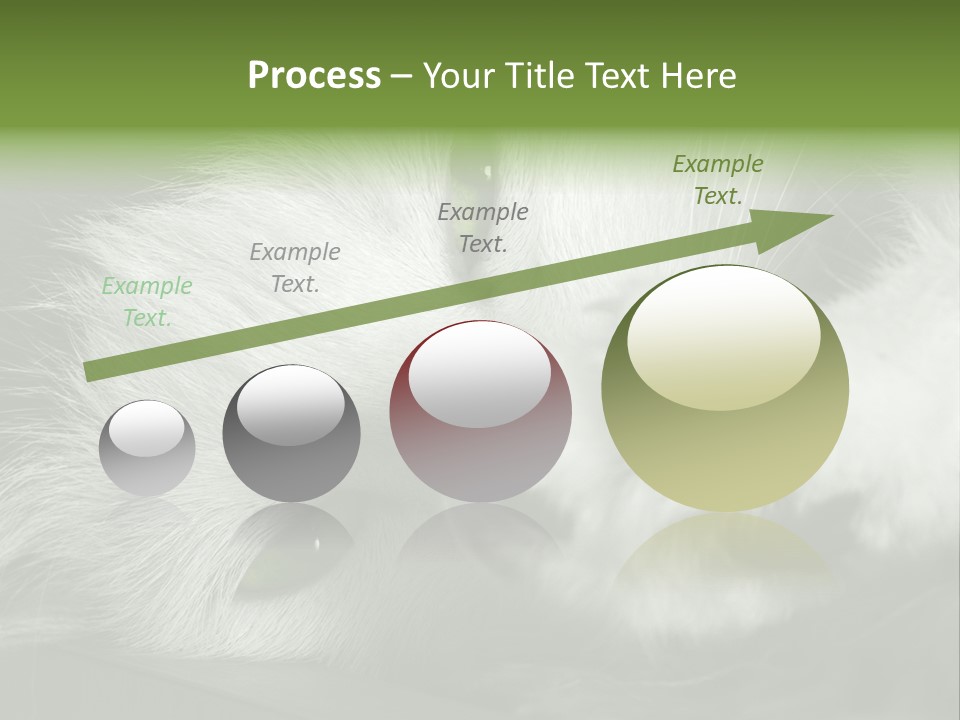 Charm PowerPoint Template