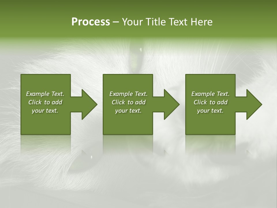 Charm PowerPoint Template