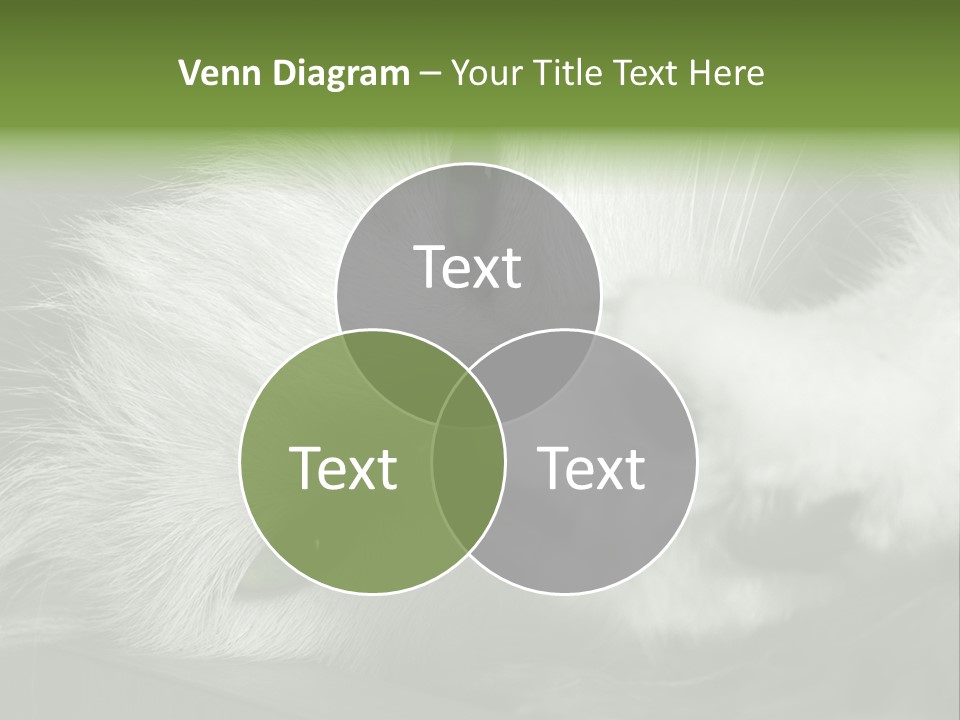 Charm PowerPoint Template