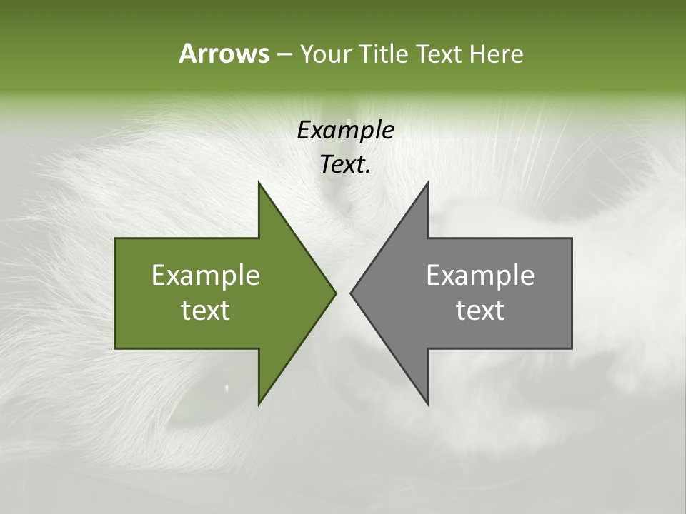 Charm PowerPoint Template