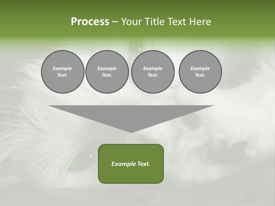Charm PowerPoint Template