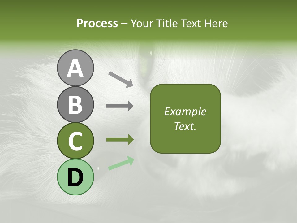 Charm PowerPoint Template