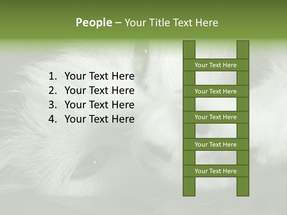 Charm PowerPoint Template