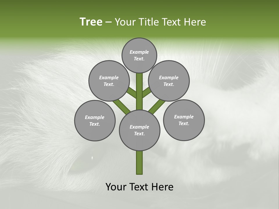 Charm PowerPoint Template