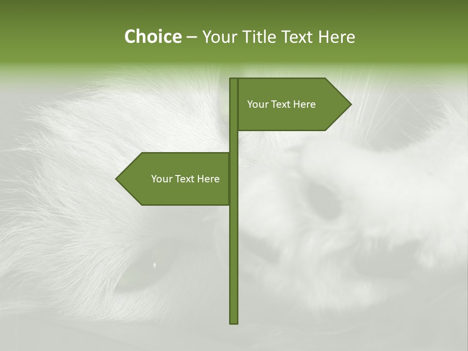 Charm PowerPoint Template