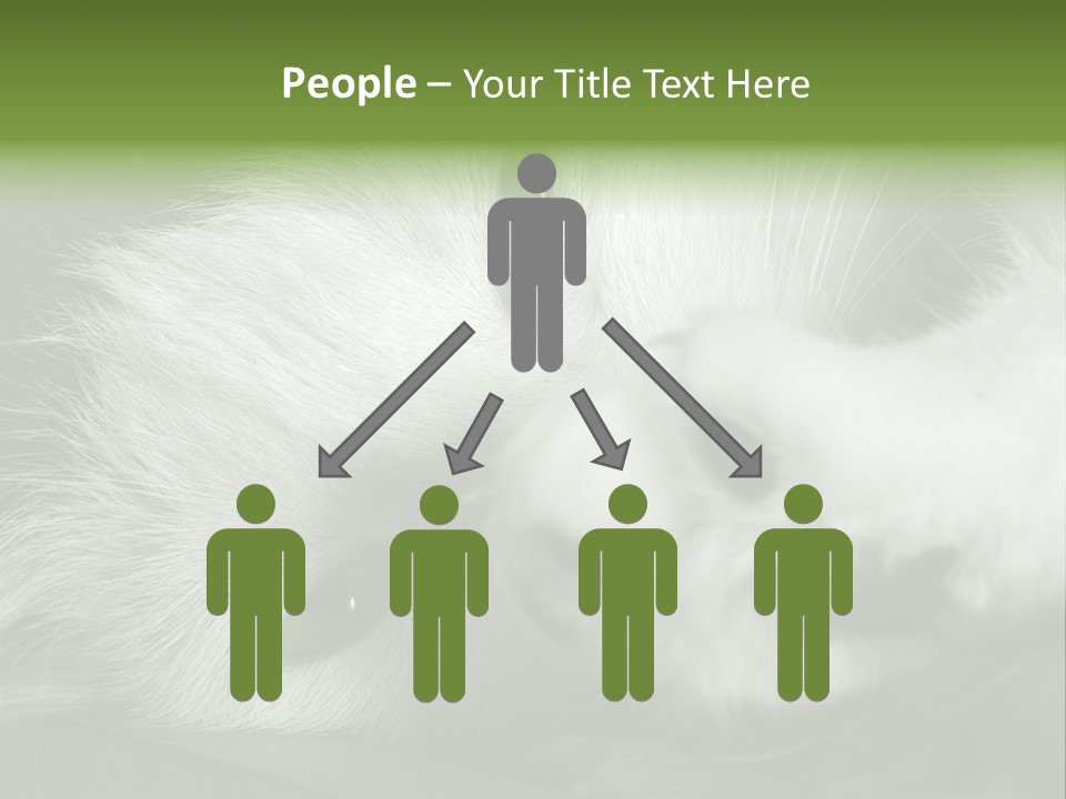 Charm PowerPoint Template