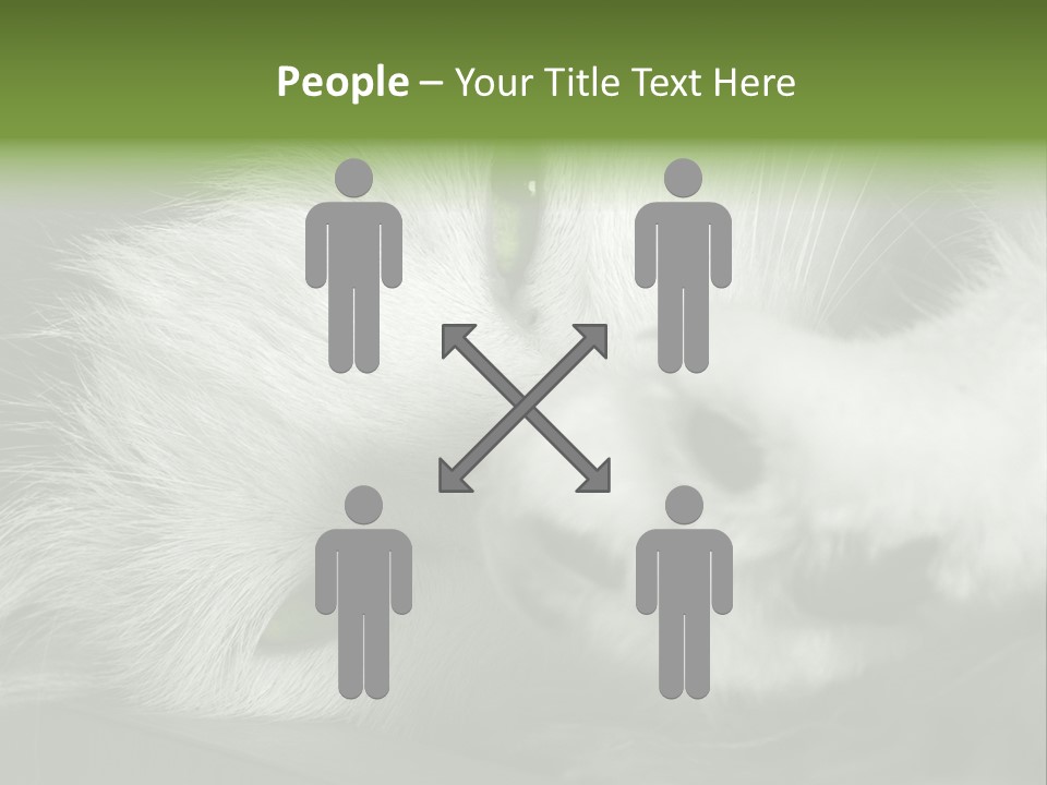 Charm PowerPoint Template